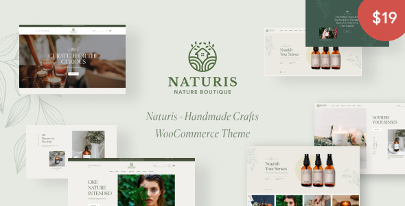 Naturis Preview Wordpress Theme - Rating, Reviews, Preview, Demo & Download