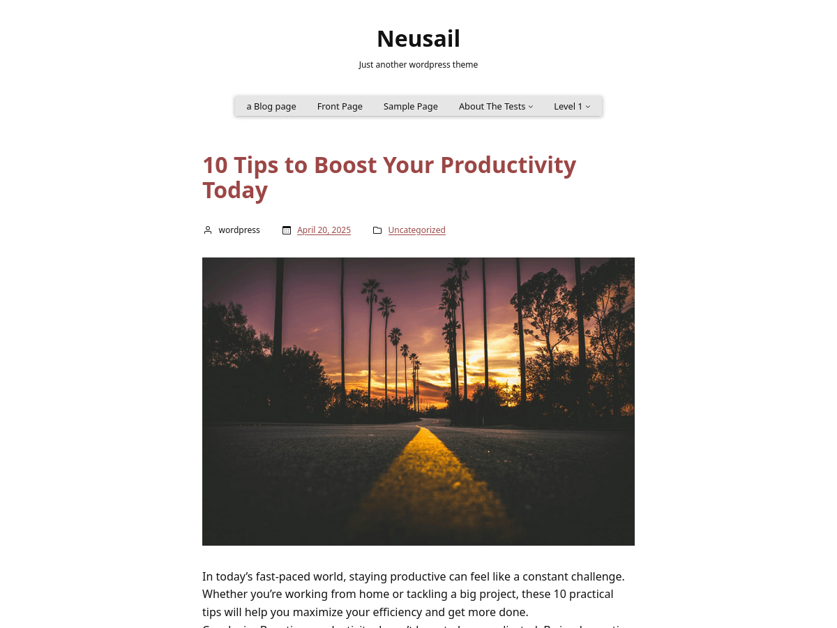 Neusail Preview Wordpress Theme - Rating, Reviews, Preview, Demo & Download