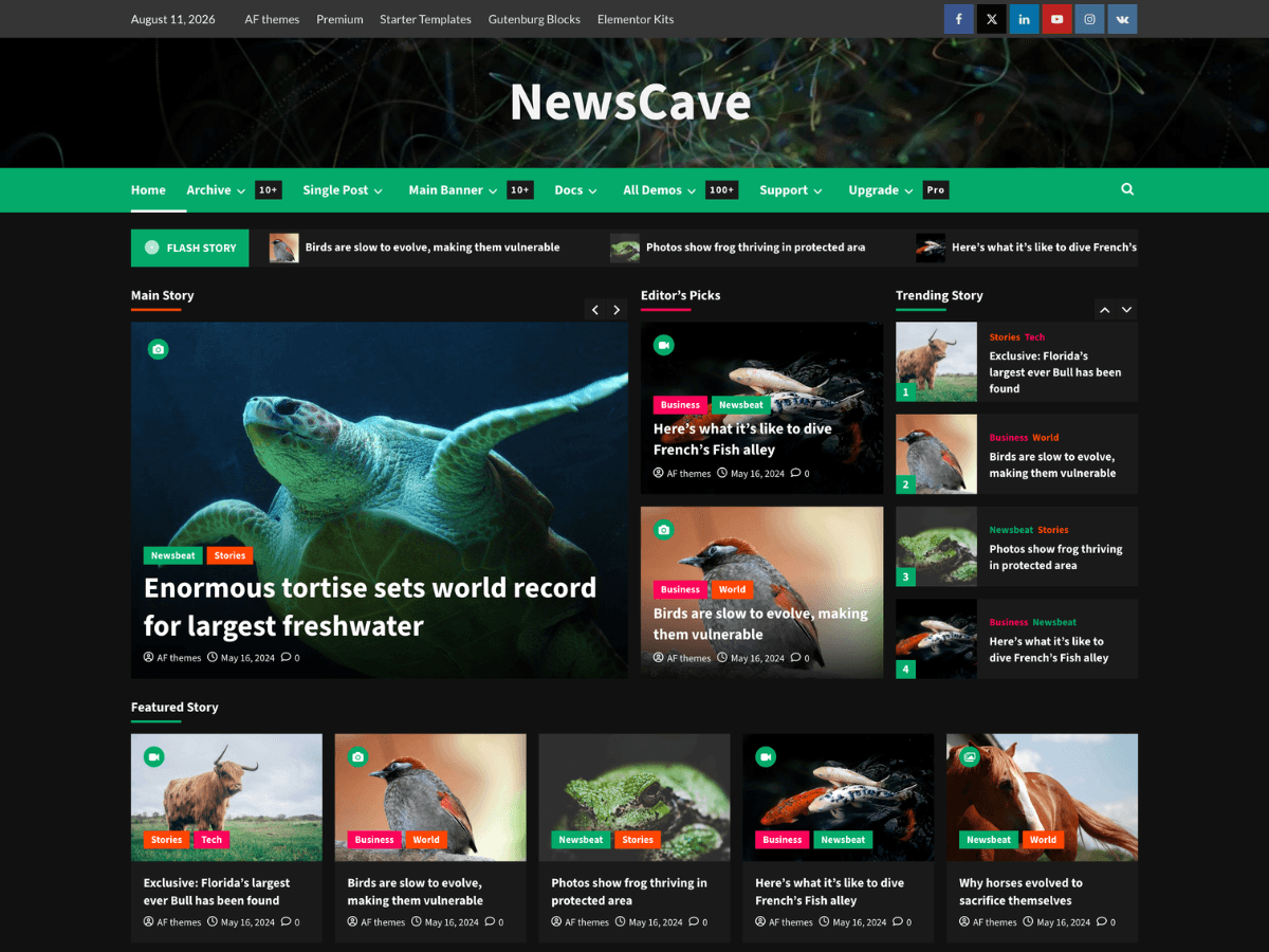 NewsCave Preview Wordpress Theme - Rating, Reviews, Preview, Demo & Download