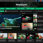 NewsCave