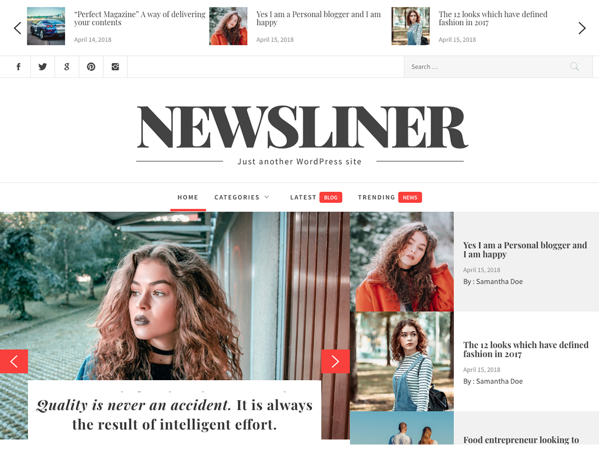 Newsliner Preview Wordpress Theme - Rating, Reviews, Preview, Demo & Download