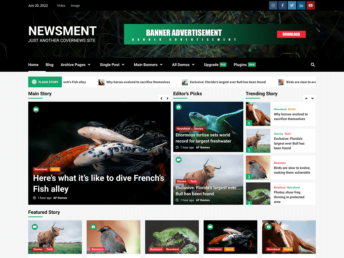 Newsment Preview Wordpress Theme - Rating, Reviews, Preview, Demo & Download