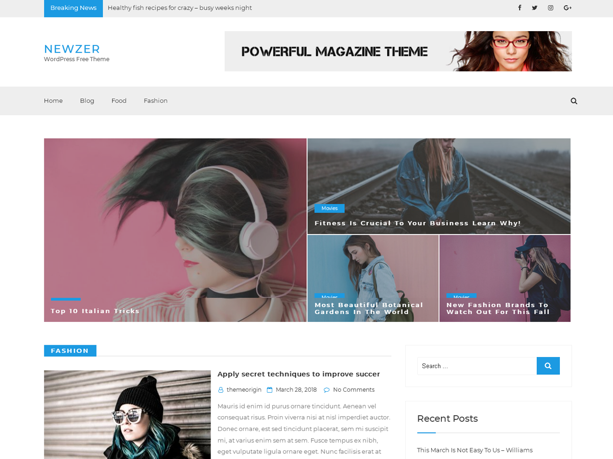Newzer Preview Wordpress Theme - Rating, Reviews, Preview, Demo & Download