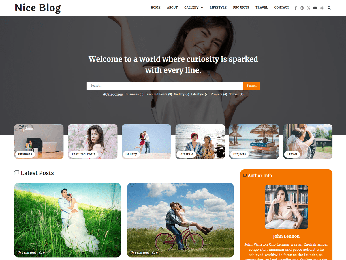 Nice Blog Preview Wordpress Theme - Rating, Reviews, Preview, Demo & Download