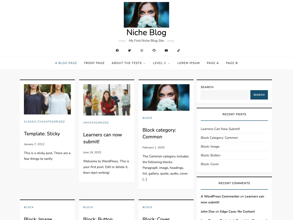 Niche Blog Preview Wordpress Theme - Rating, Reviews, Preview, Demo & Download