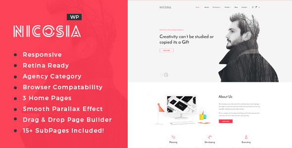 Nicosia Preview Wordpress Theme - Rating, Reviews, Preview, Demo & Download
