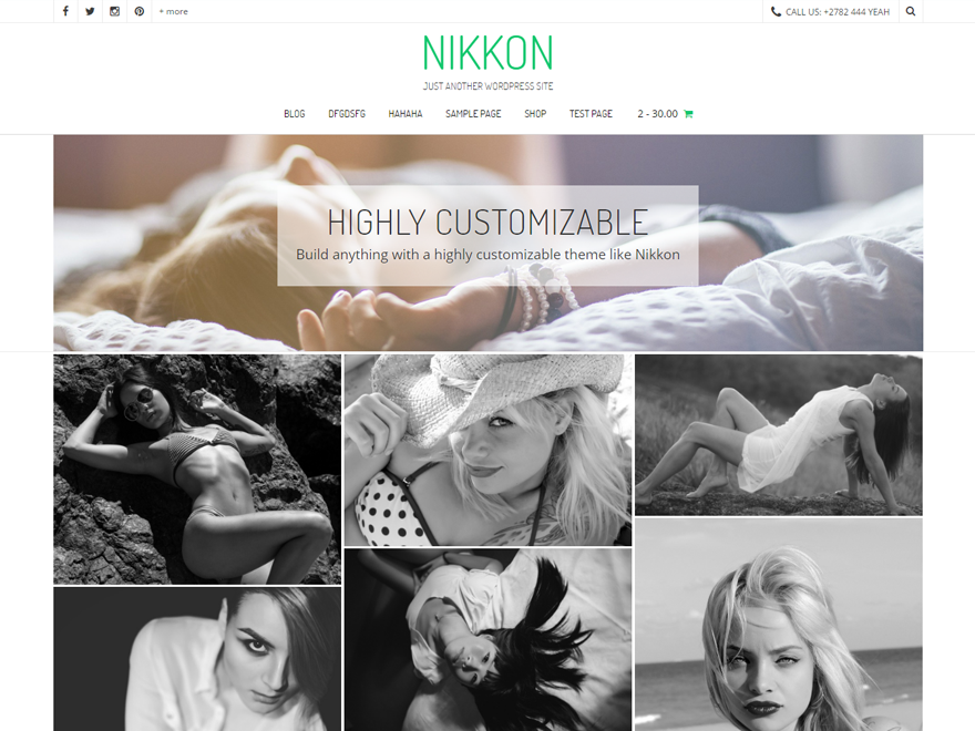 Nikkon Preview Wordpress Theme - Rating, Reviews, Preview, Demo & Download