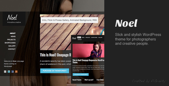 Noel Preview Wordpress Theme - Rating, Reviews, Preview, Demo & Download