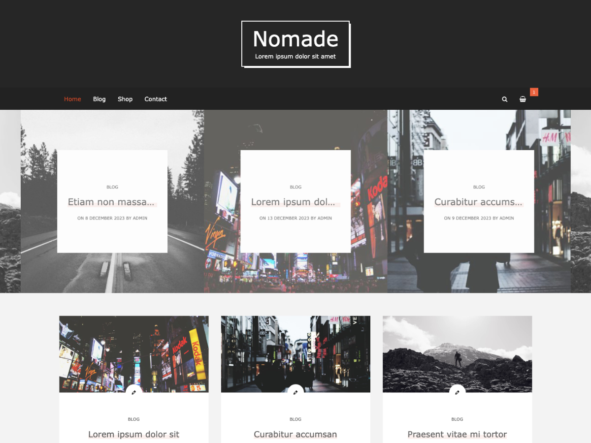Nomade Preview Wordpress Theme - Rating, Reviews, Preview, Demo & Download
