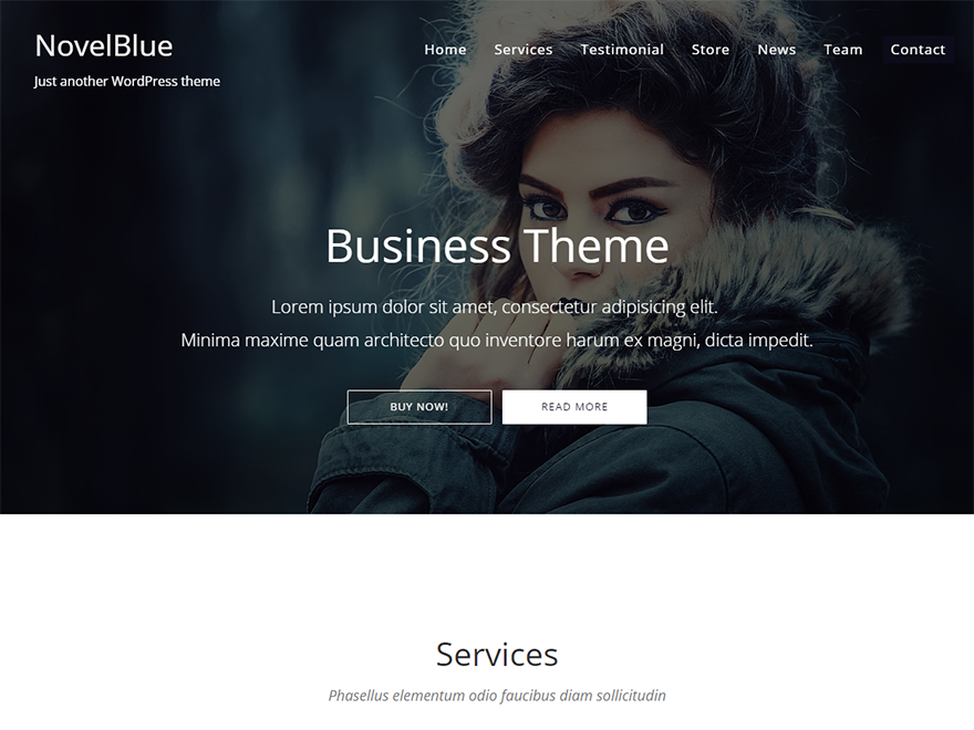 NovelBlue Preview Wordpress Theme - Rating, Reviews, Preview, Demo & Download