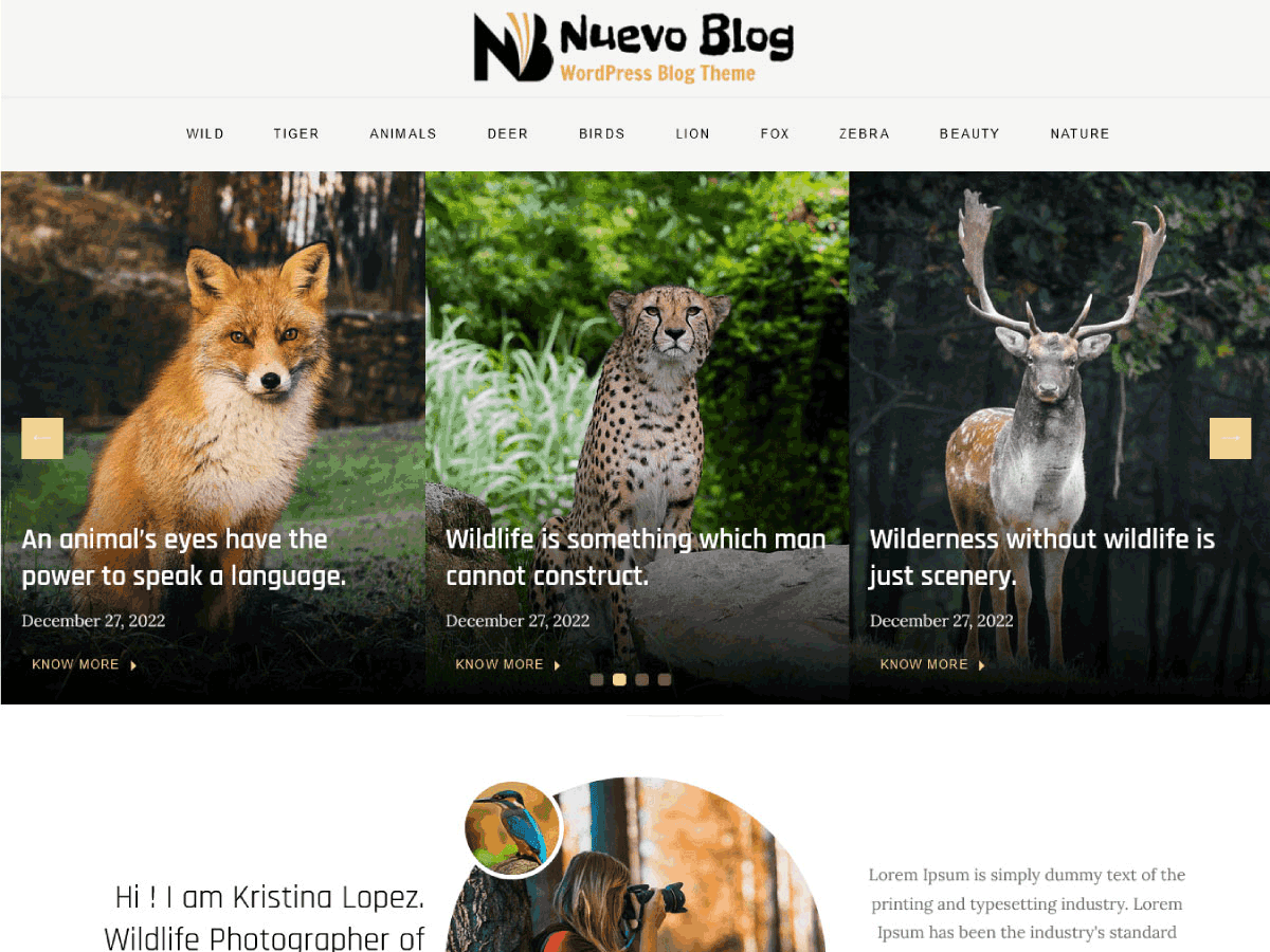 Nuevo Blog Preview Wordpress Theme - Rating, Reviews, Preview, Demo & Download