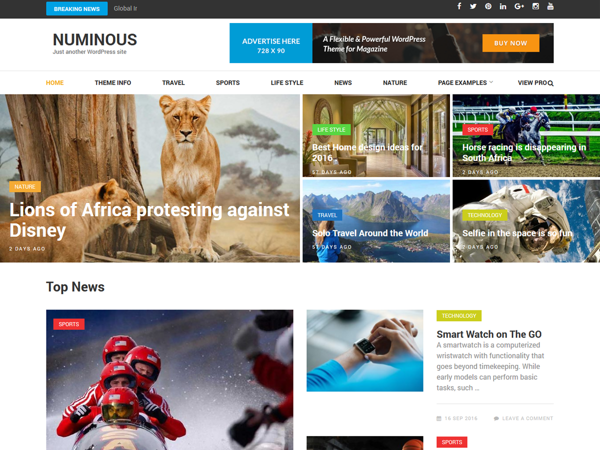 Numinous Preview Wordpress Theme - Rating, Reviews, Preview, Demo & Download
