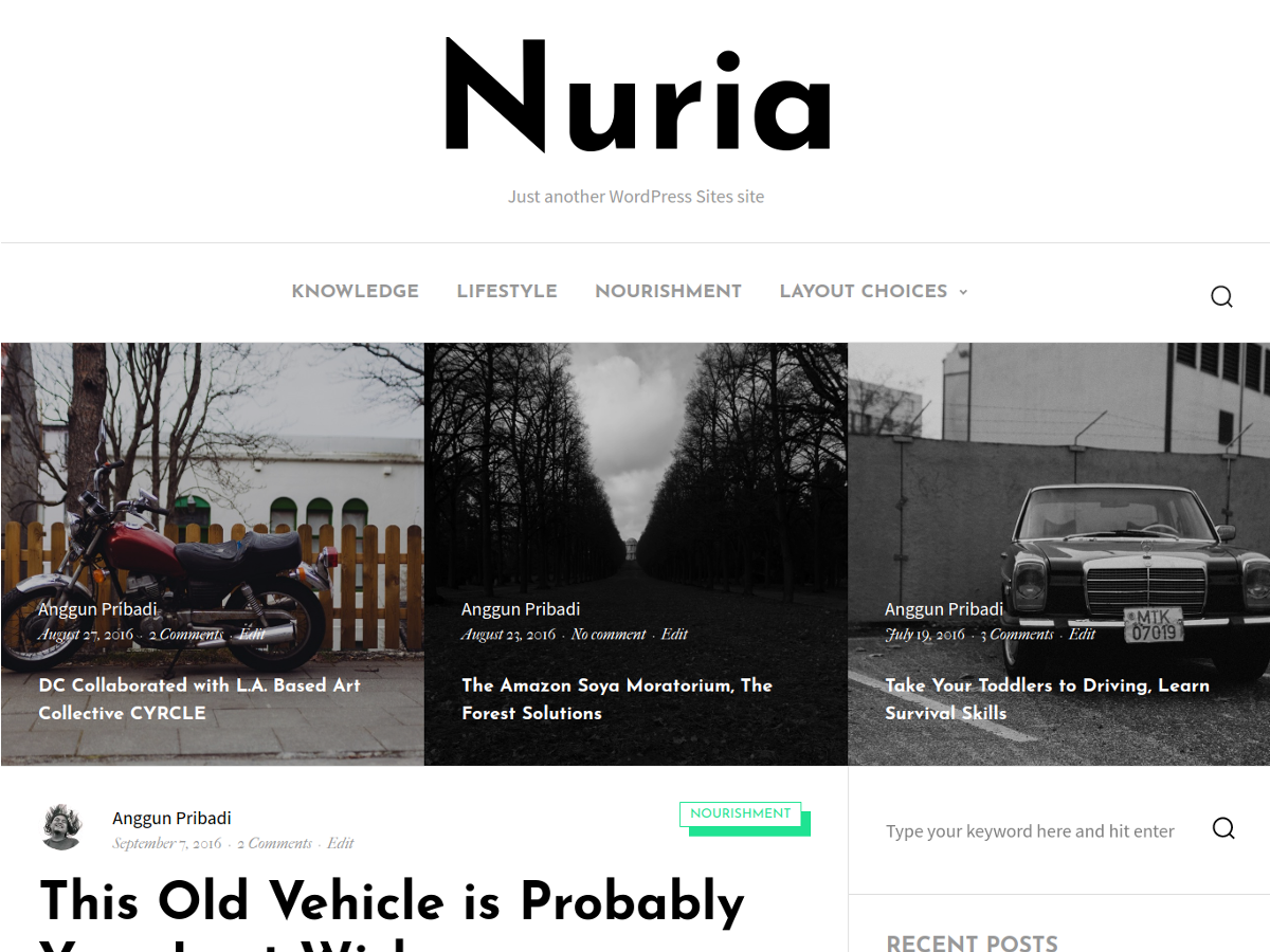 Nuria Preview Wordpress Theme - Rating, Reviews, Preview, Demo & Download