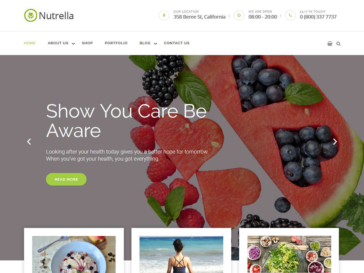 Nutrella Preview Wordpress Theme - Rating, Reviews, Preview, Demo & Download
