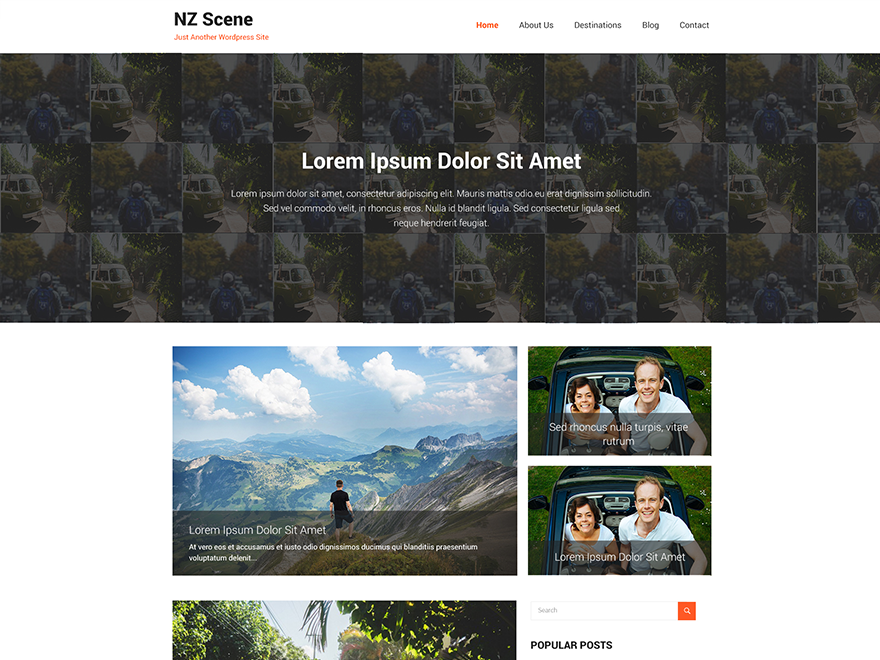 NZ Scene Preview Wordpress Theme - Rating, Reviews, Preview, Demo & Download
