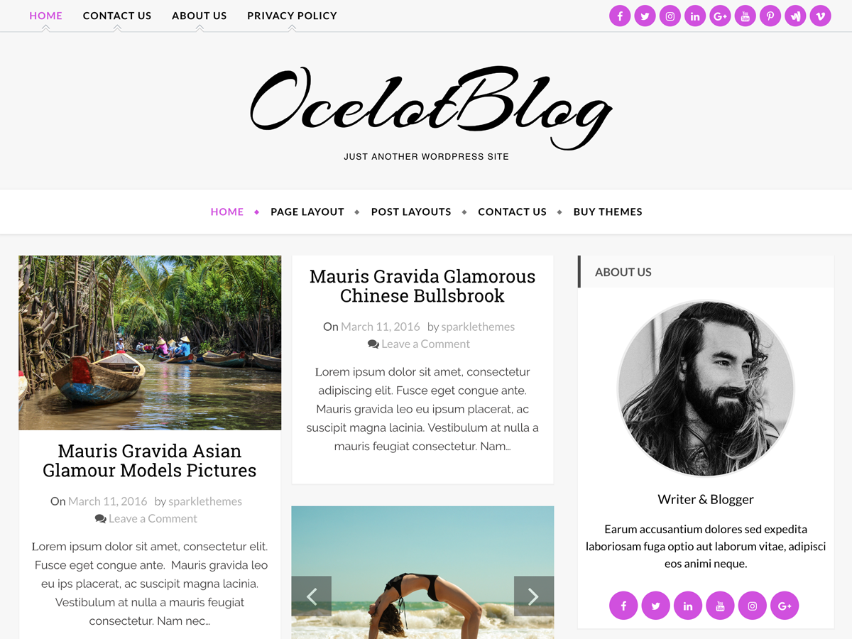 Ocelot Preview Wordpress Theme - Rating, Reviews, Preview, Demo & Download