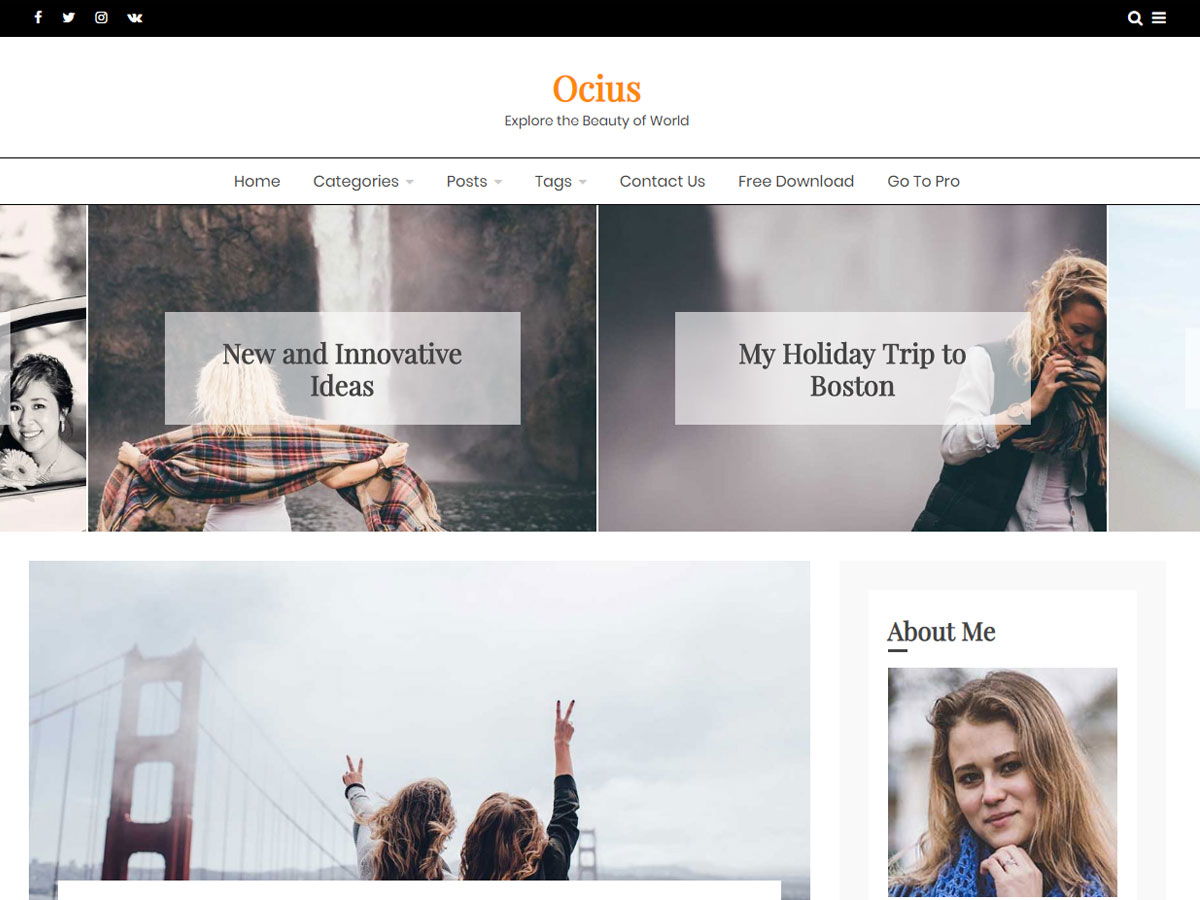 Ocius Preview Wordpress Theme - Rating, Reviews, Preview, Demo & Download