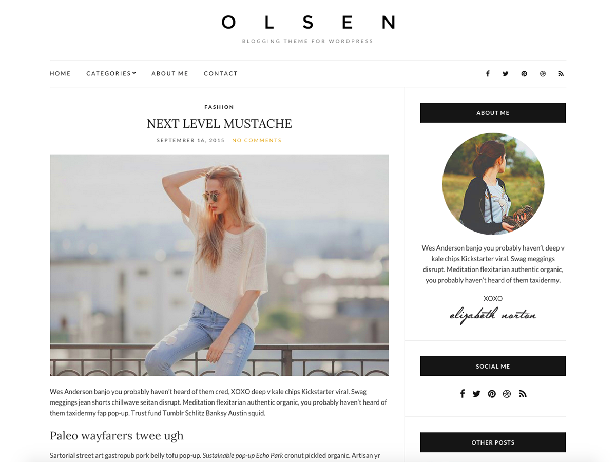 Olsen Light Preview Wordpress Theme - Rating, Reviews, Preview, Demo & Download