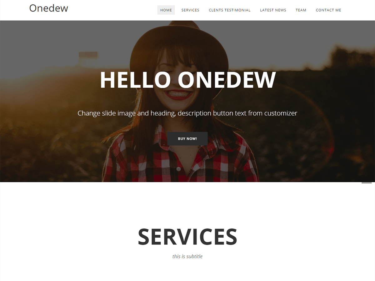 Onedew Preview Wordpress Theme - Rating, Reviews, Preview, Demo & Download