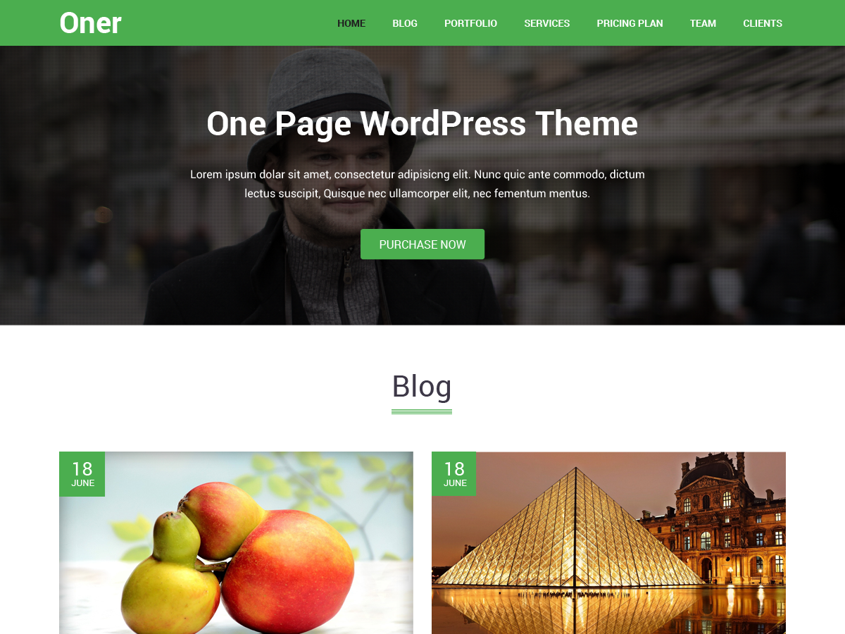 Oner Preview Wordpress Theme - Rating, Reviews, Preview, Demo & Download