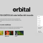Orbital Go