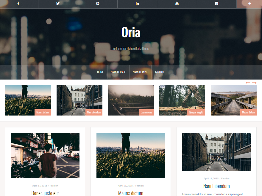 Oria Preview Wordpress Theme - Rating, Reviews, Preview, Demo & Download