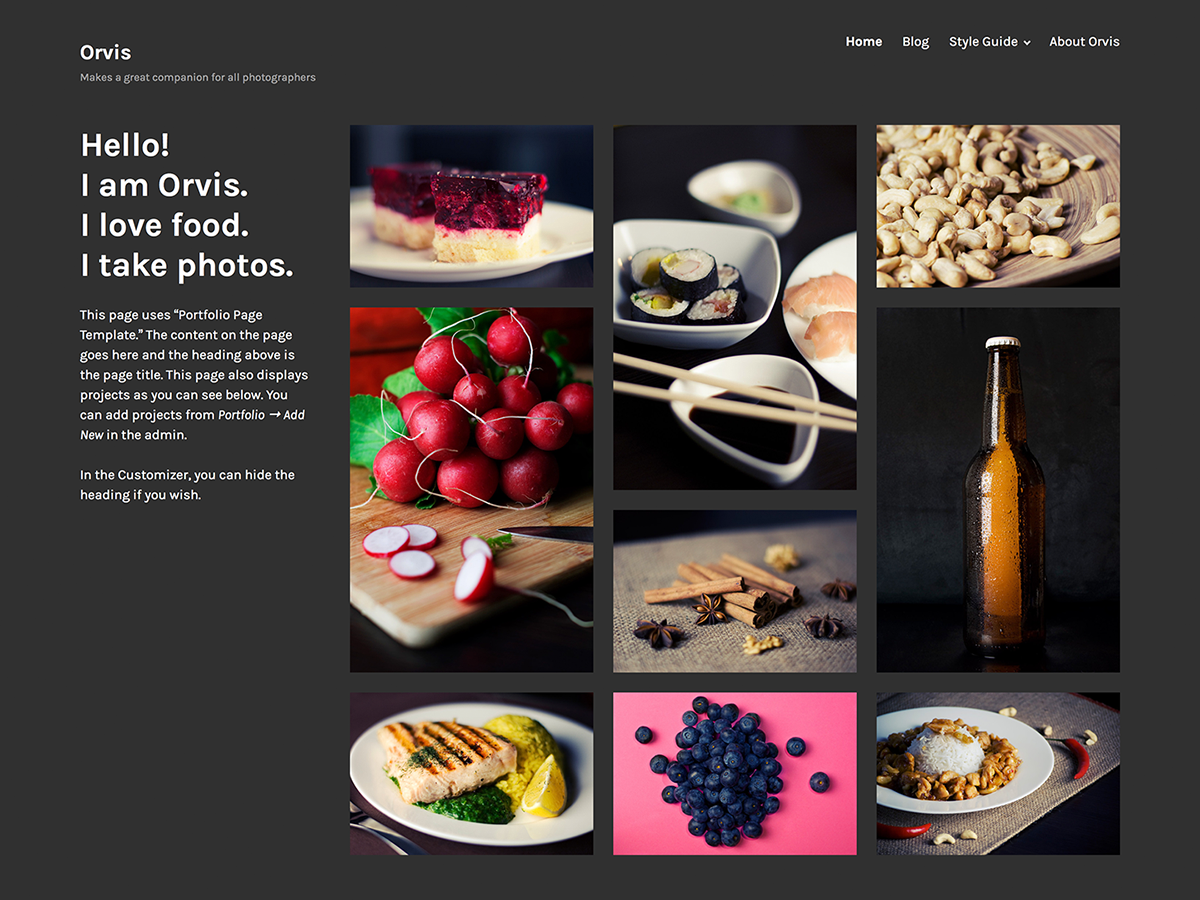 Orvis Preview Wordpress Theme - Rating, Reviews, Preview, Demo & Download
