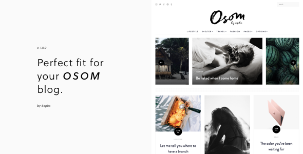 Osom Preview Wordpress Theme - Rating, Reviews, Preview, Demo & Download
