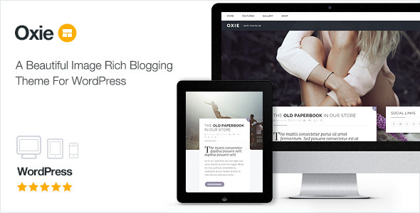 Oxie Preview Wordpress Theme - Rating, Reviews, Preview, Demo & Download