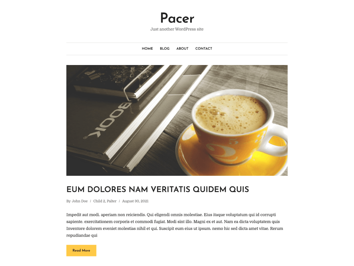 Pacer Preview Wordpress Theme - Rating, Reviews, Preview, Demo & Download