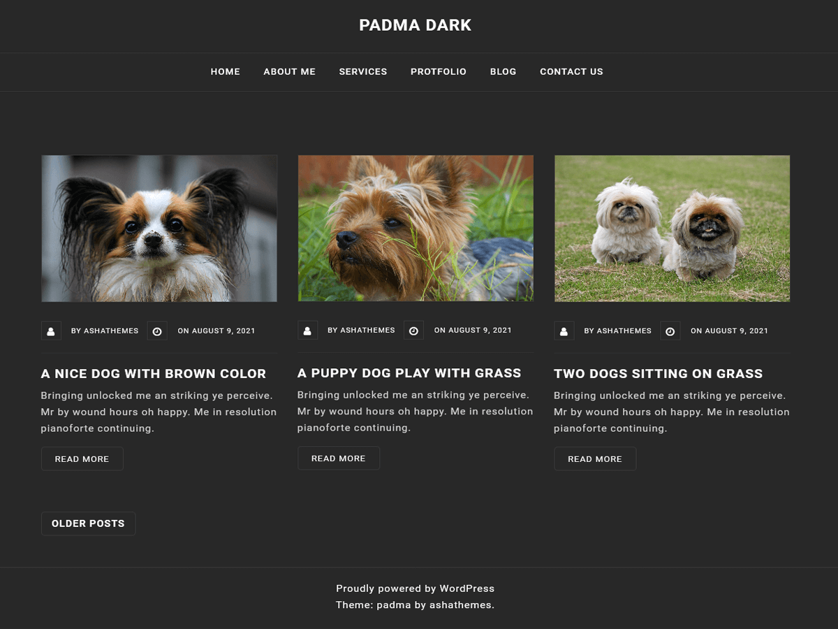 Padma Dark Preview Wordpress Theme - Rating, Reviews, Preview, Demo & Download
