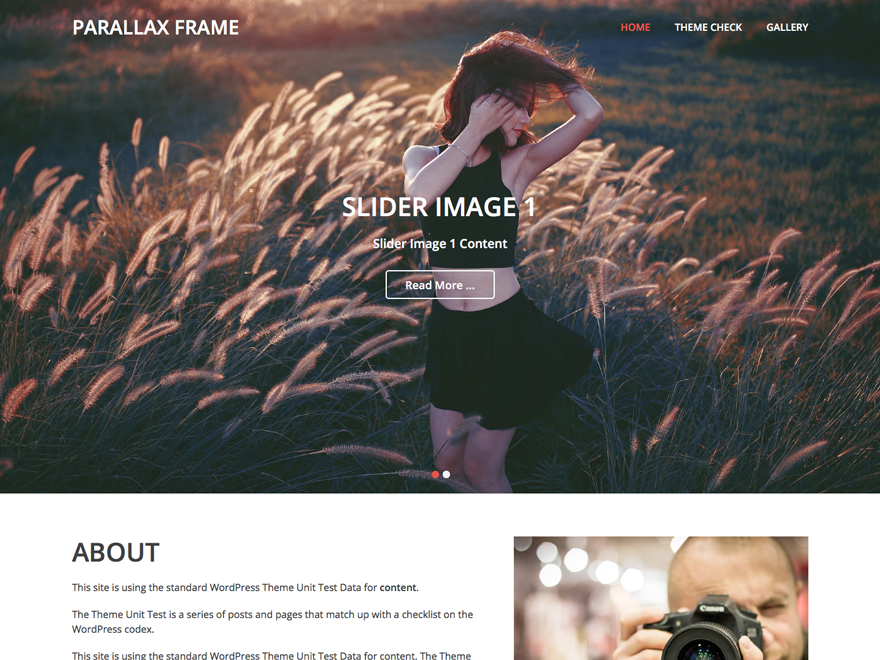 Parallax Frame Preview Wordpress Theme - Rating, Reviews, Preview, Demo & Download
