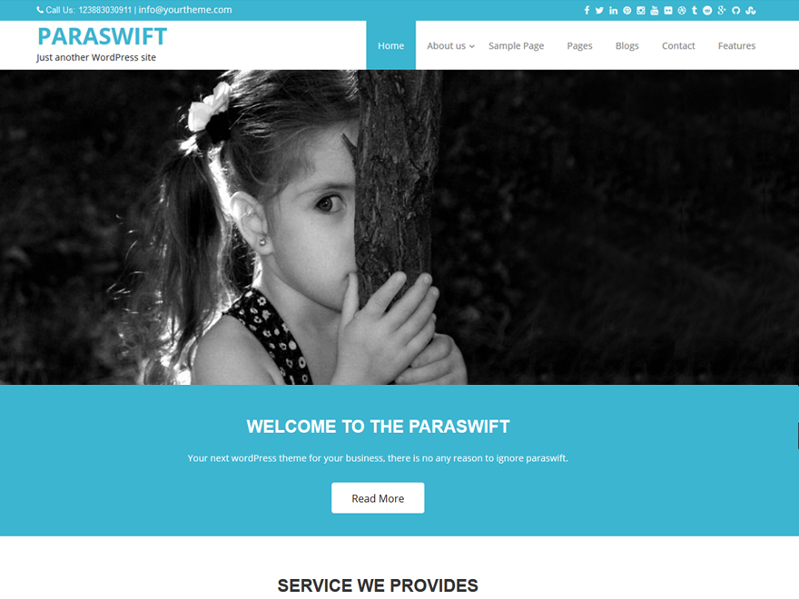 Paraswift Preview Wordpress Theme - Rating, Reviews, Preview, Demo & Download