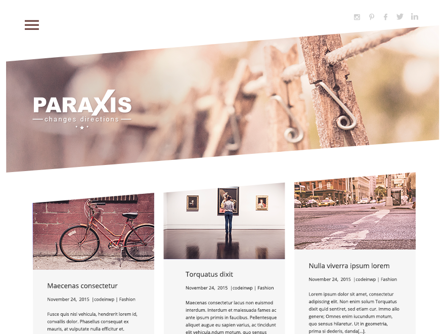 Paraxis Lite Preview Wordpress Theme - Rating, Reviews, Preview, Demo & Download