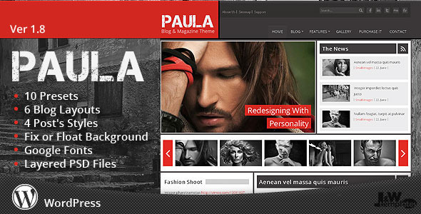 Paula Preview Wordpress Theme - Rating, Reviews, Preview, Demo & Download
