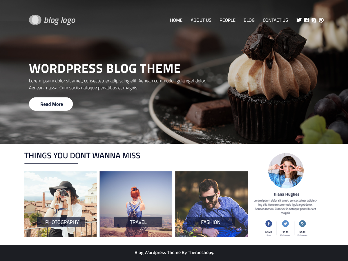 Perfect Blog Preview Wordpress Theme - Rating, Reviews, Preview, Demo & Download
