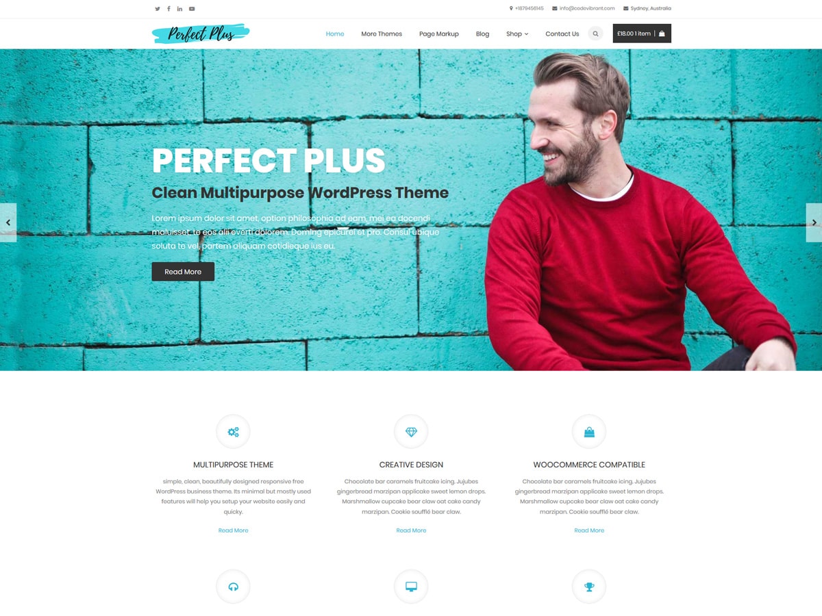 Perfect Plus Preview Wordpress Theme - Rating, Reviews, Preview, Demo & Download