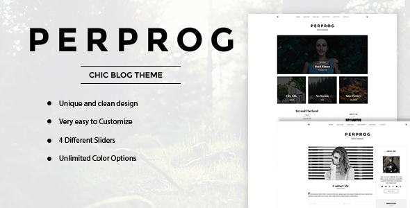 PerProg Preview Wordpress Theme - Rating, Reviews, Preview, Demo & Download