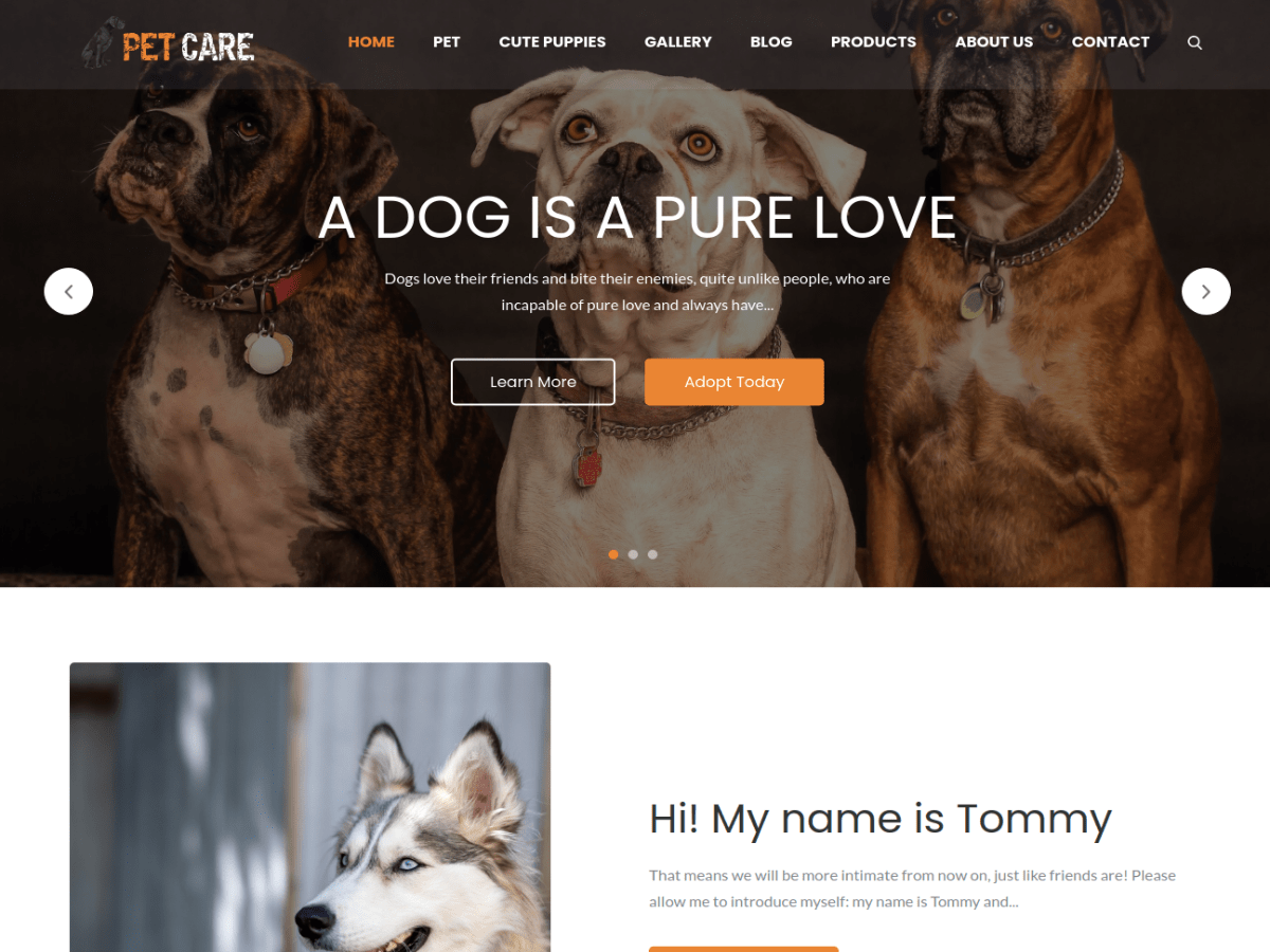 Pet Care Preview Wordpress Theme - Rating, Reviews, Preview, Demo & Download