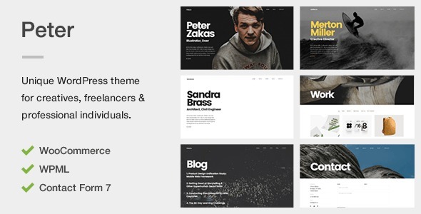 Peter Preview Wordpress Theme - Rating, Reviews, Preview, Demo & Download