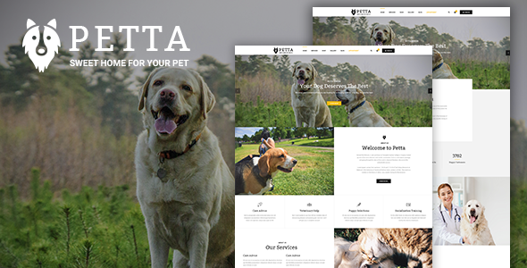 Petta Preview Wordpress Theme - Rating, Reviews, Preview, Demo & Download