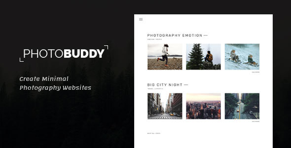 PhotoBuddy Preview Wordpress Theme - Rating, Reviews, Preview, Demo & Download