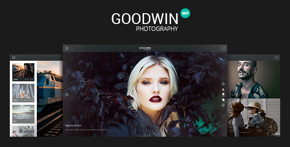 Photography Preview Wordpress Theme - Rating, Reviews, Preview, Demo & Download