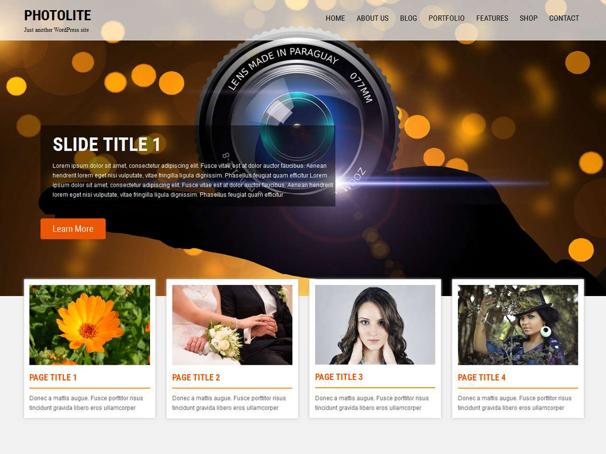 Photolite Preview Wordpress Theme - Rating, Reviews, Preview, Demo & Download