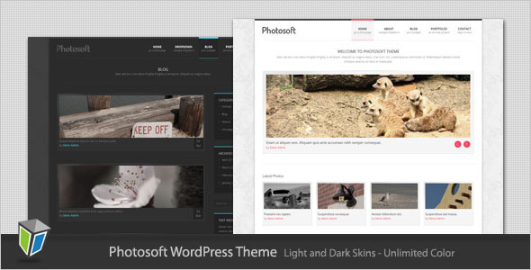 Photosoft Preview Wordpress Theme - Rating, Reviews, Preview, Demo & Download