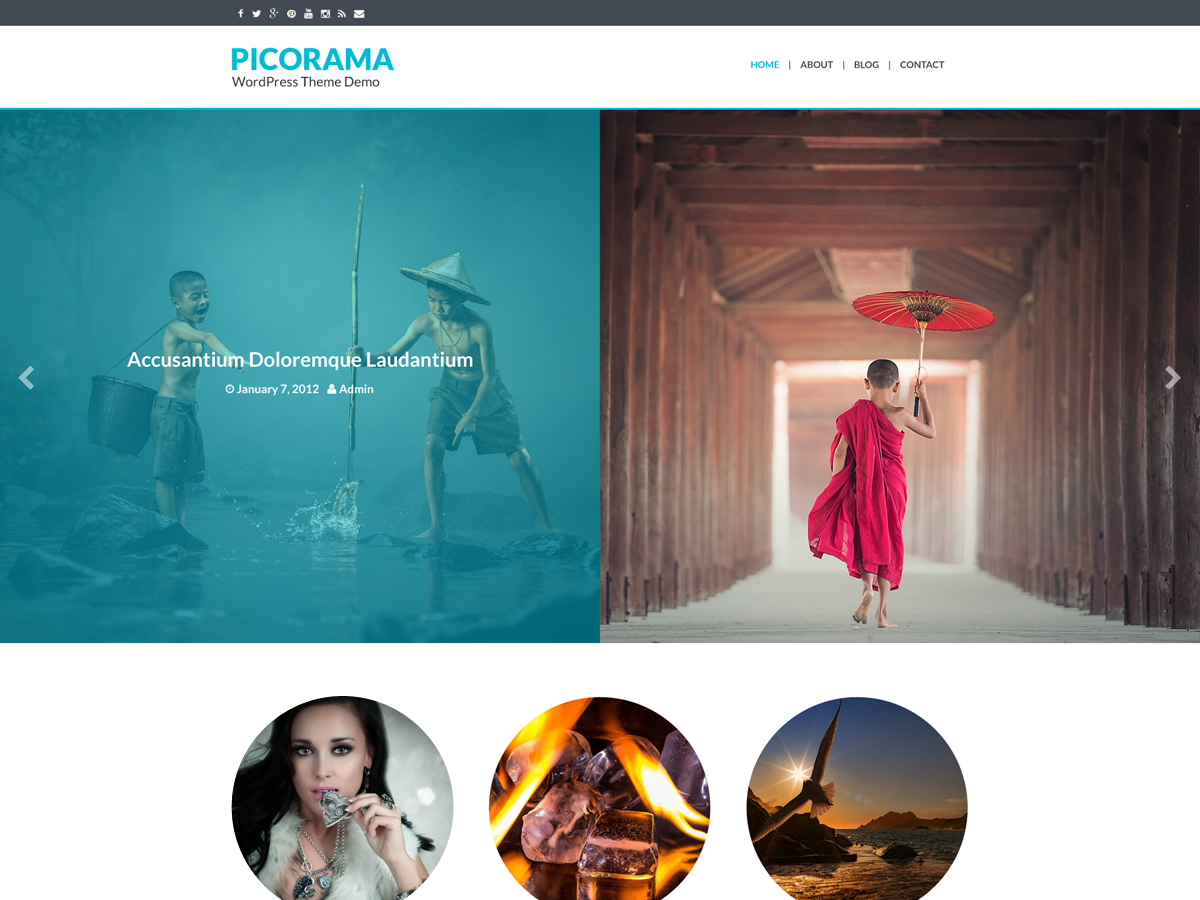 Picorama Preview Wordpress Theme - Rating, Reviews, Preview, Demo & Download
