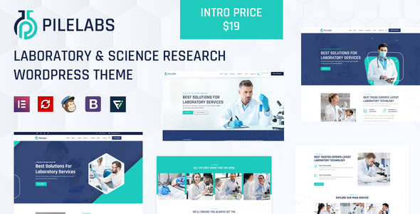 Pilelabs Preview Wordpress Theme - Rating, Reviews, Preview, Demo & Download