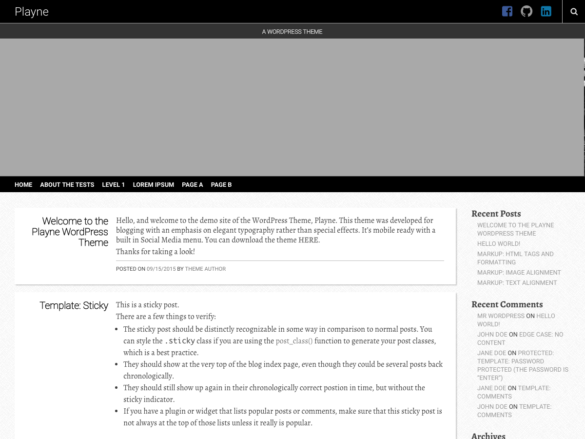 Playne Preview Wordpress Theme - Rating, Reviews, Preview, Demo & Download