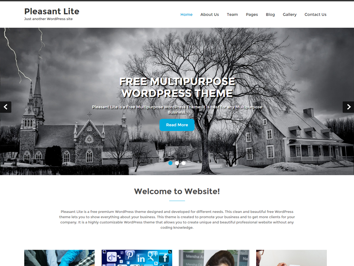 Pleasant Lite Preview Wordpress Theme - Rating, Reviews, Preview, Demo & Download
