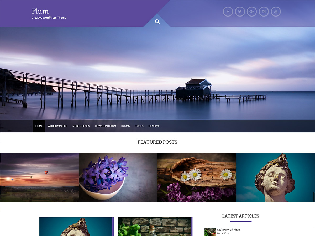 Plum Preview Wordpress Theme - Rating, Reviews, Preview, Demo & Download